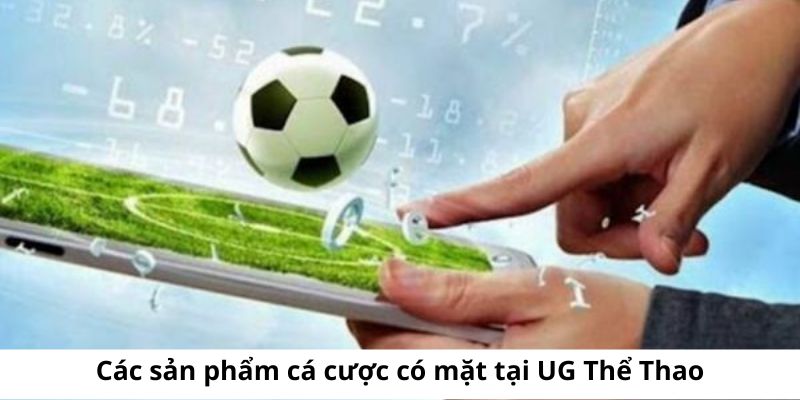 Các sản phẩm cá cược hấp dẫn mà sảnh cược cung cấp