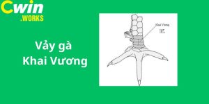 Vảy Gà Khai Vương - Loại Vảy Cực Hiếm Nhiều Người Săn Lùng